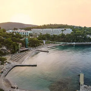 度假村 松树湾旅游度假酒店 库萨达斯